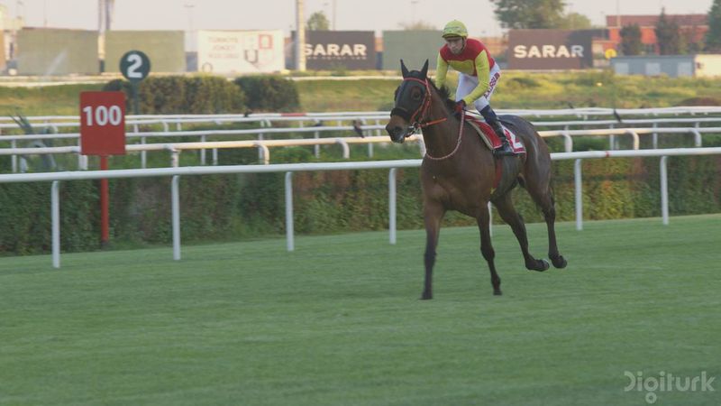 File:UHD SRC Jockey 2160p120 420 8bit s1280x720 1.jpg