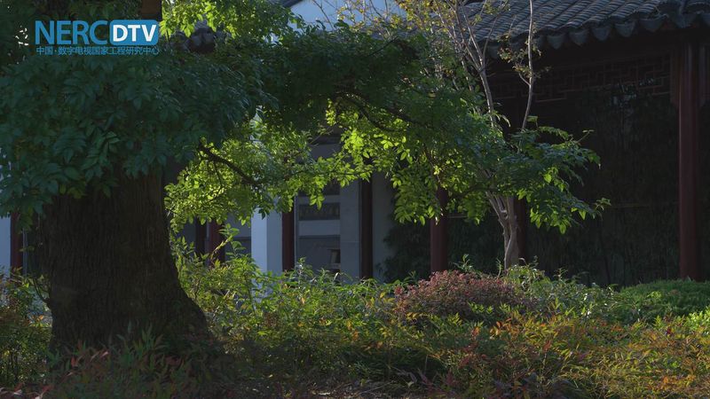 File:UHD SRC TreeShade 2160p30 420 8bit s1280x720 1.jpg